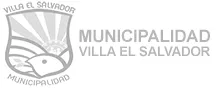 LOGO-174-x-71_MUNI-VILLA-EL-SALVADOR_11zon