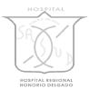 logo_hospital_honorio_delgado